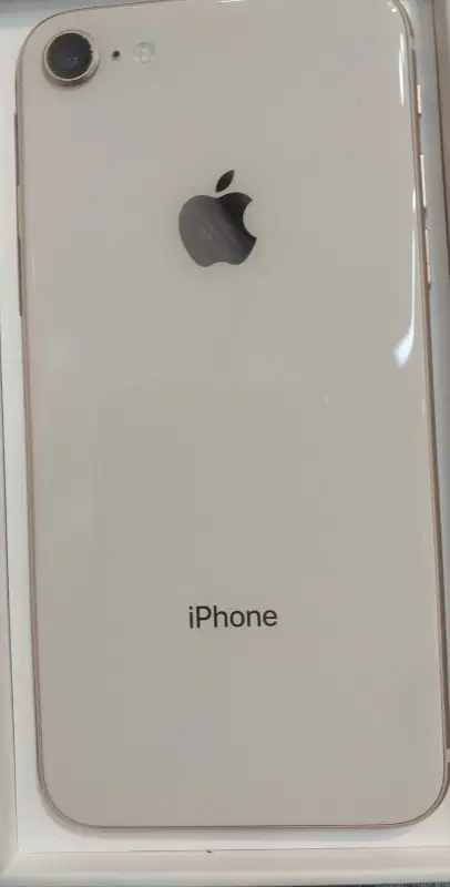 iPhone 8|موبایل|مشهد, استاد یوسفی (شهرک غرب)|دیوار