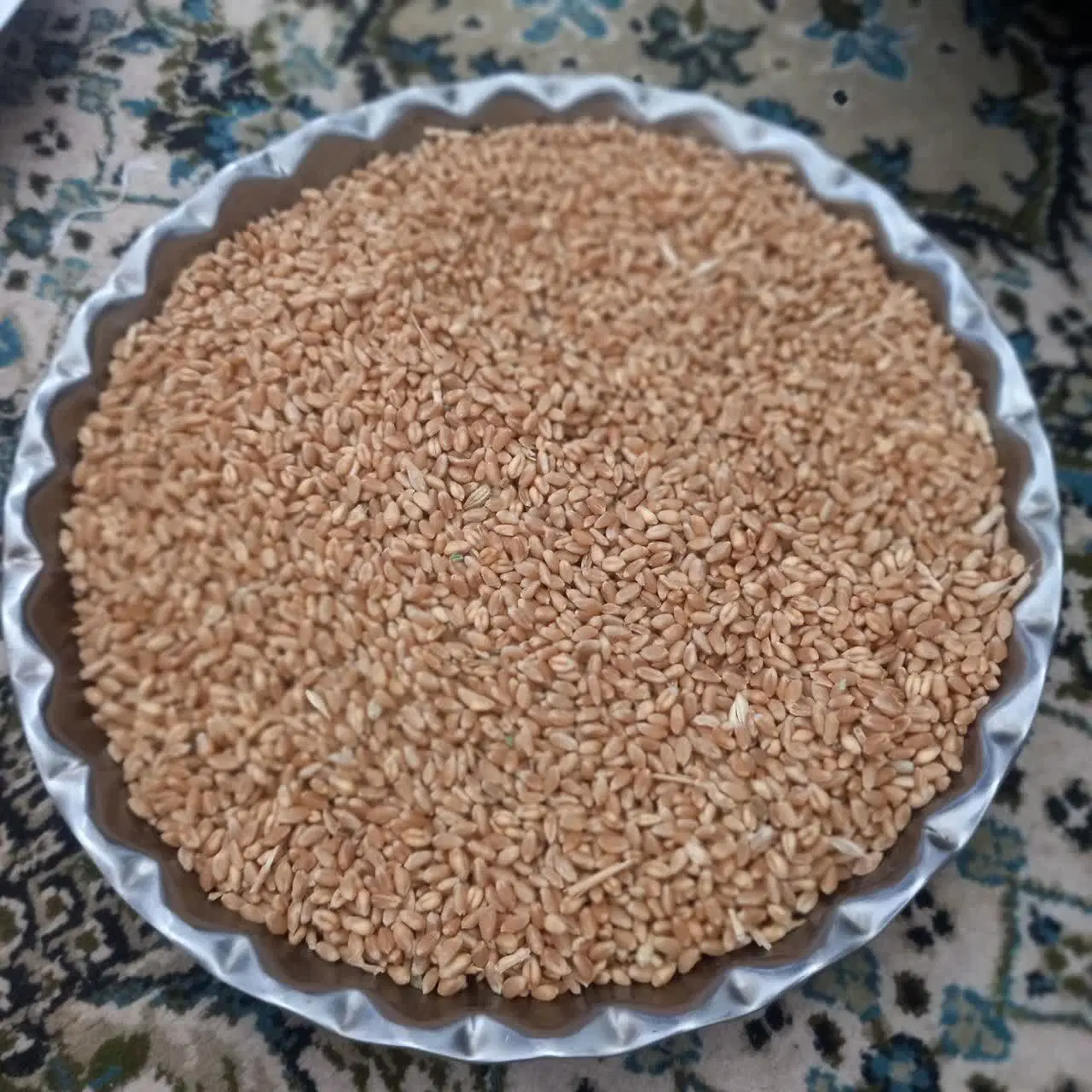 گندم|خوردنی و آشامیدنی|داران, |دیوار