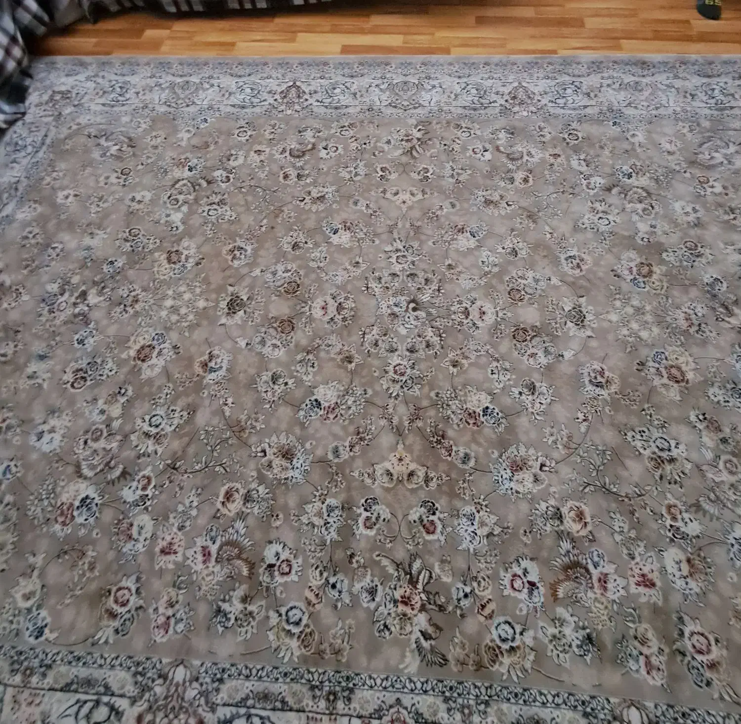 فرش ۶ متری|فرش|رشت, منظریه|دیوار