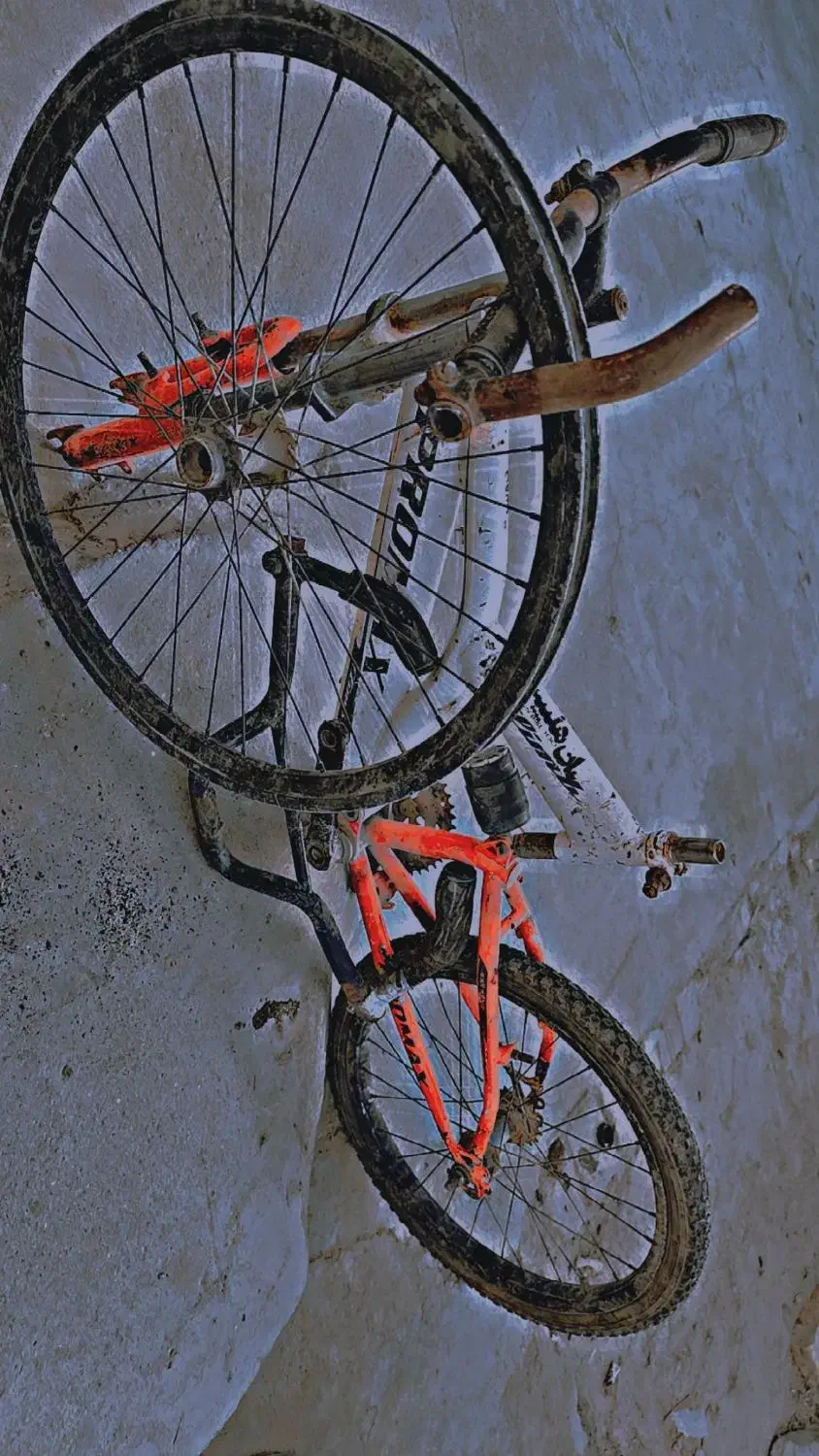 تنه دوچرخه همراه با بعضی وسایل|دوچرخه، اسکیت، اسکوتر|سراوان, |دیوار