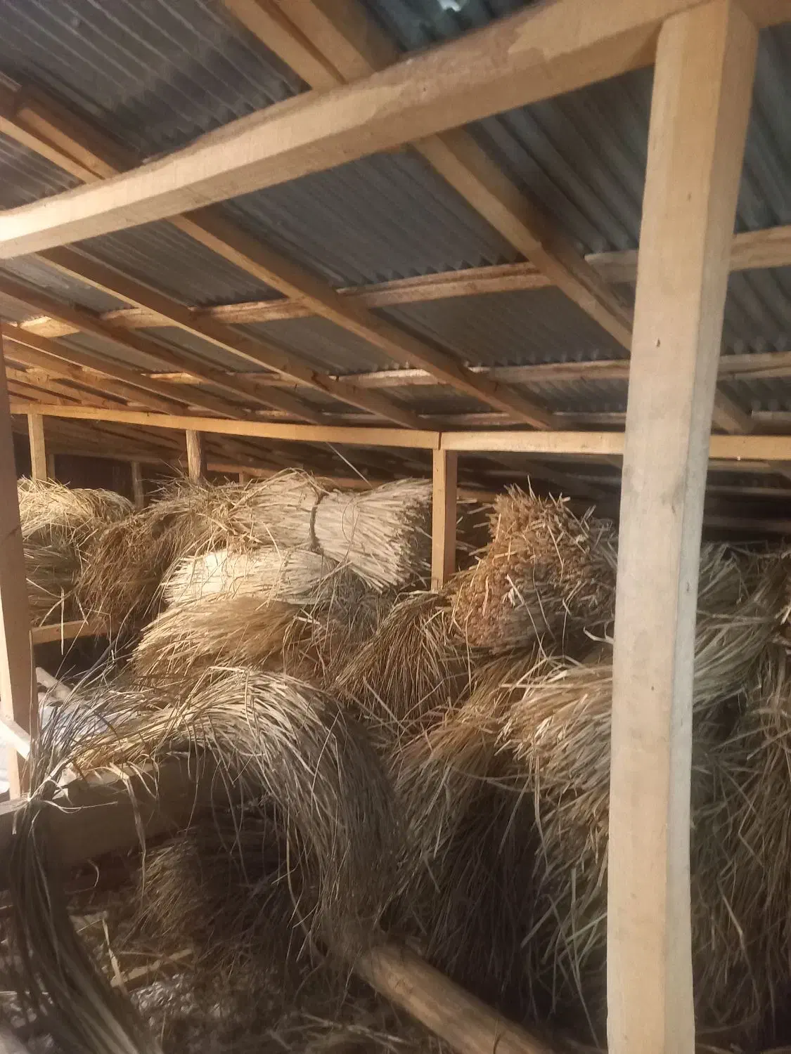 لی برای حصیربافی|صنایع دستی و سایر لوازم تزئینی|رشت, کوی طالقانی|دیوار