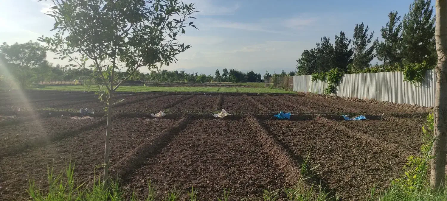 زمین مناسب باغ و باغچه|فروش زمین و ملک کلنگی|باقرشهر, |دیوار