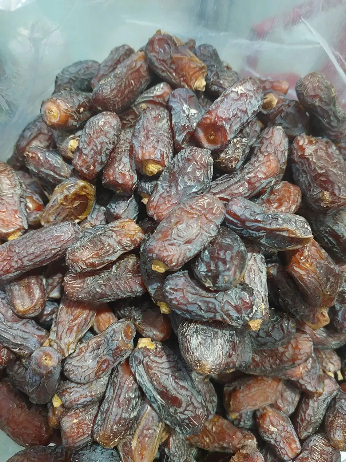 کشتی پیارم|خوردنی و آشامیدنی|خنج, |دیوار