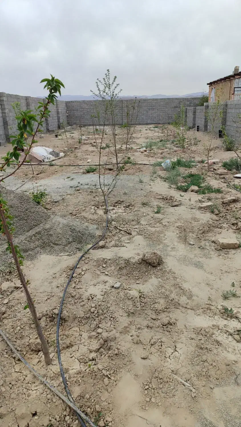 زمین دور دیوار آماده ویلا سازی|فروش زمین و ملک کلنگی|گلبهار, نوبهار|دیوار