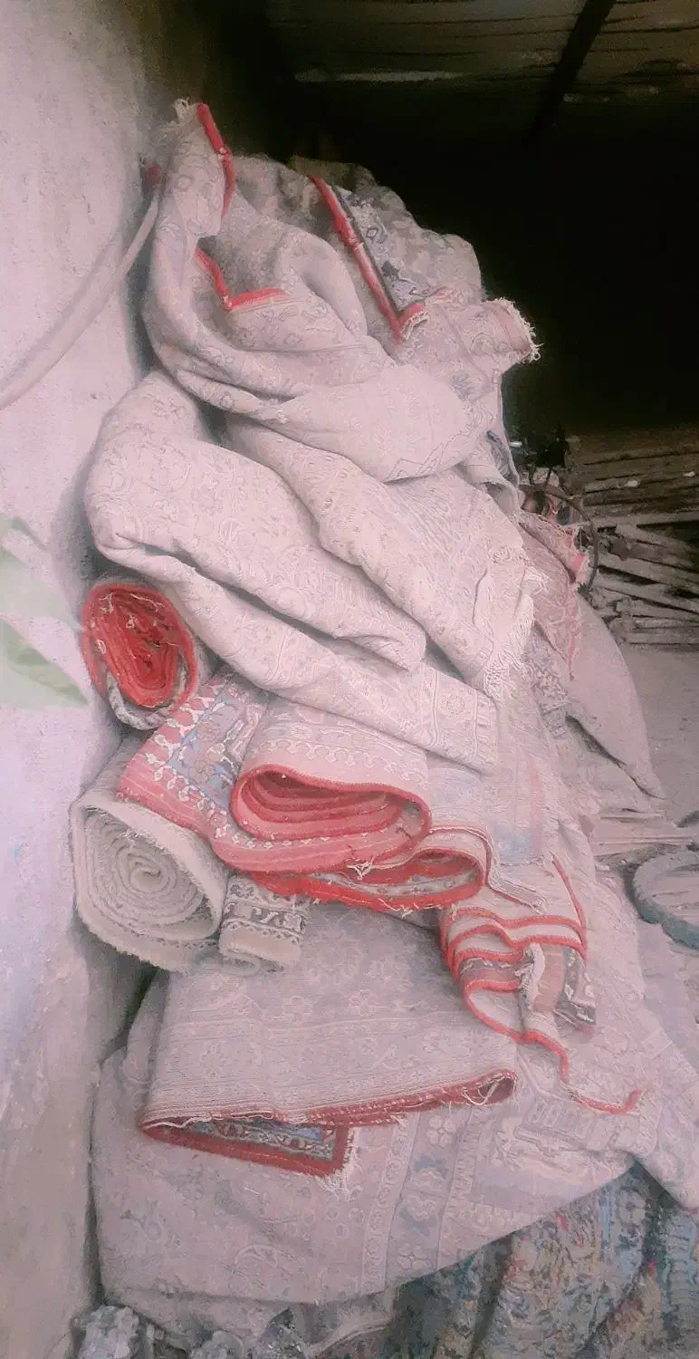 فروش ۵۰عدد فرش کرایه ی|فرش|رومشکان, |دیوار