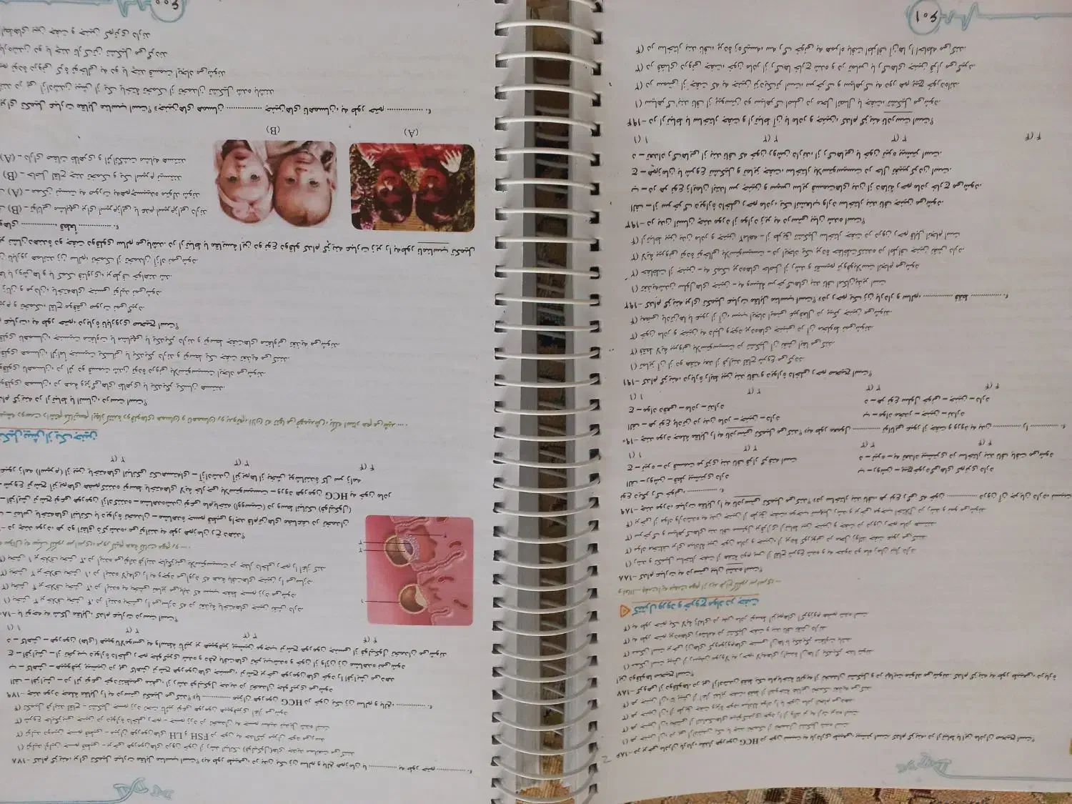 خیلی سبز زیست یازدهم|کتاب و مجله آموزشی|قم, چهار امامزاده|دیوار