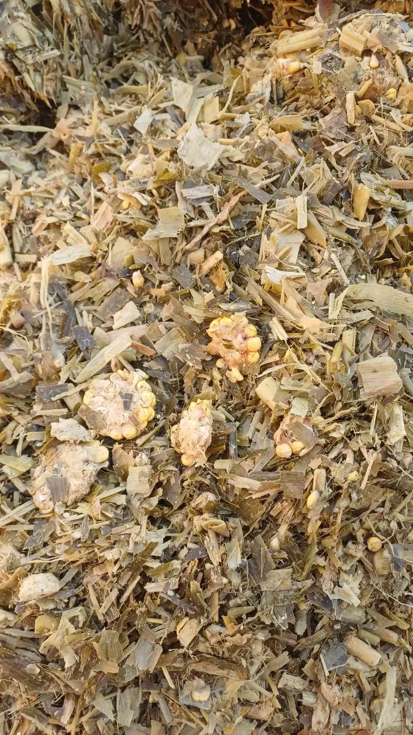 ذرت علوفه ای|لوازم جانبی حیوانات|خاش, |دیوار