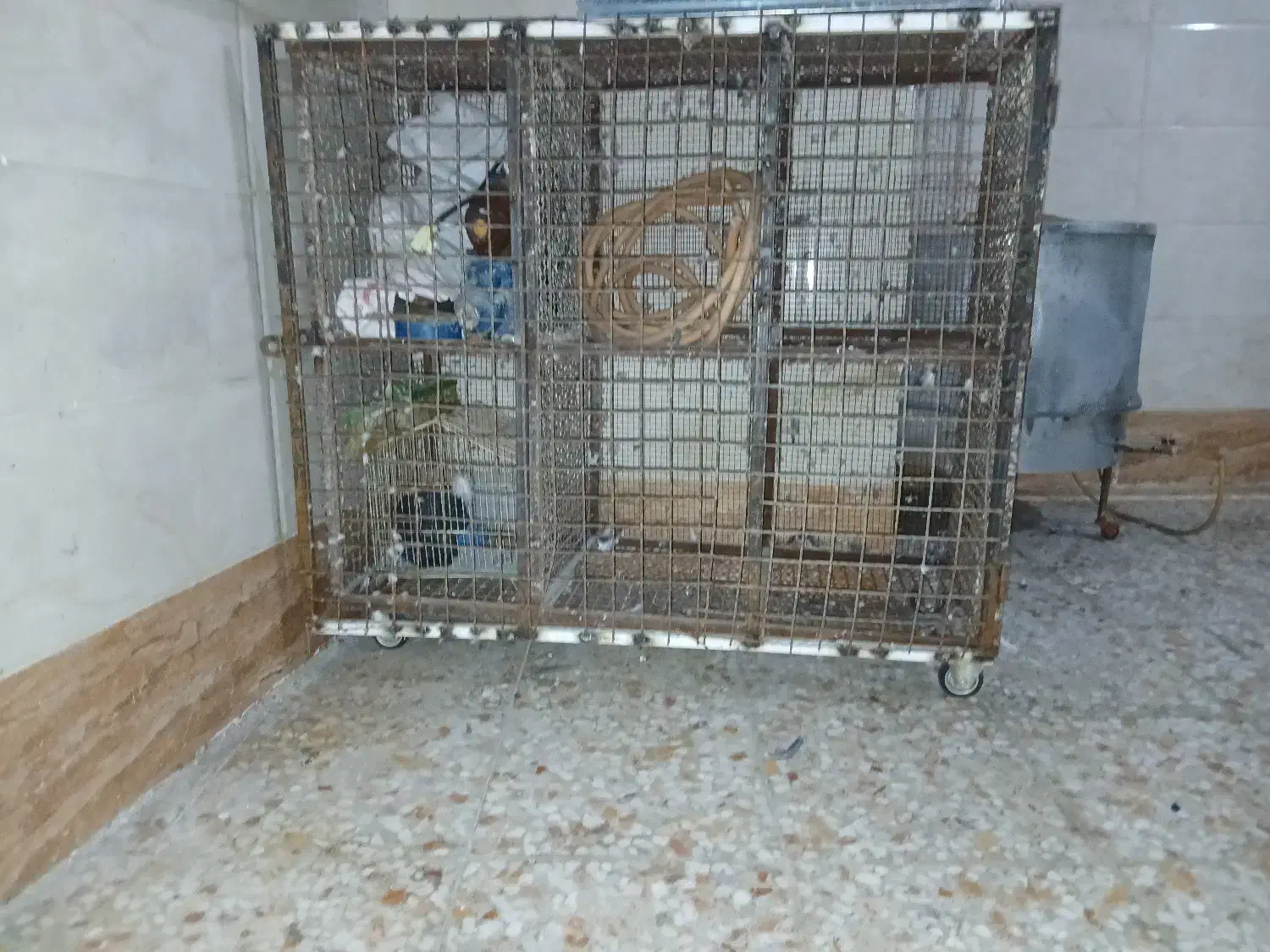 قفس|لوازم جانبی حیوانات|اهواز, کوی طلاب|دیوار