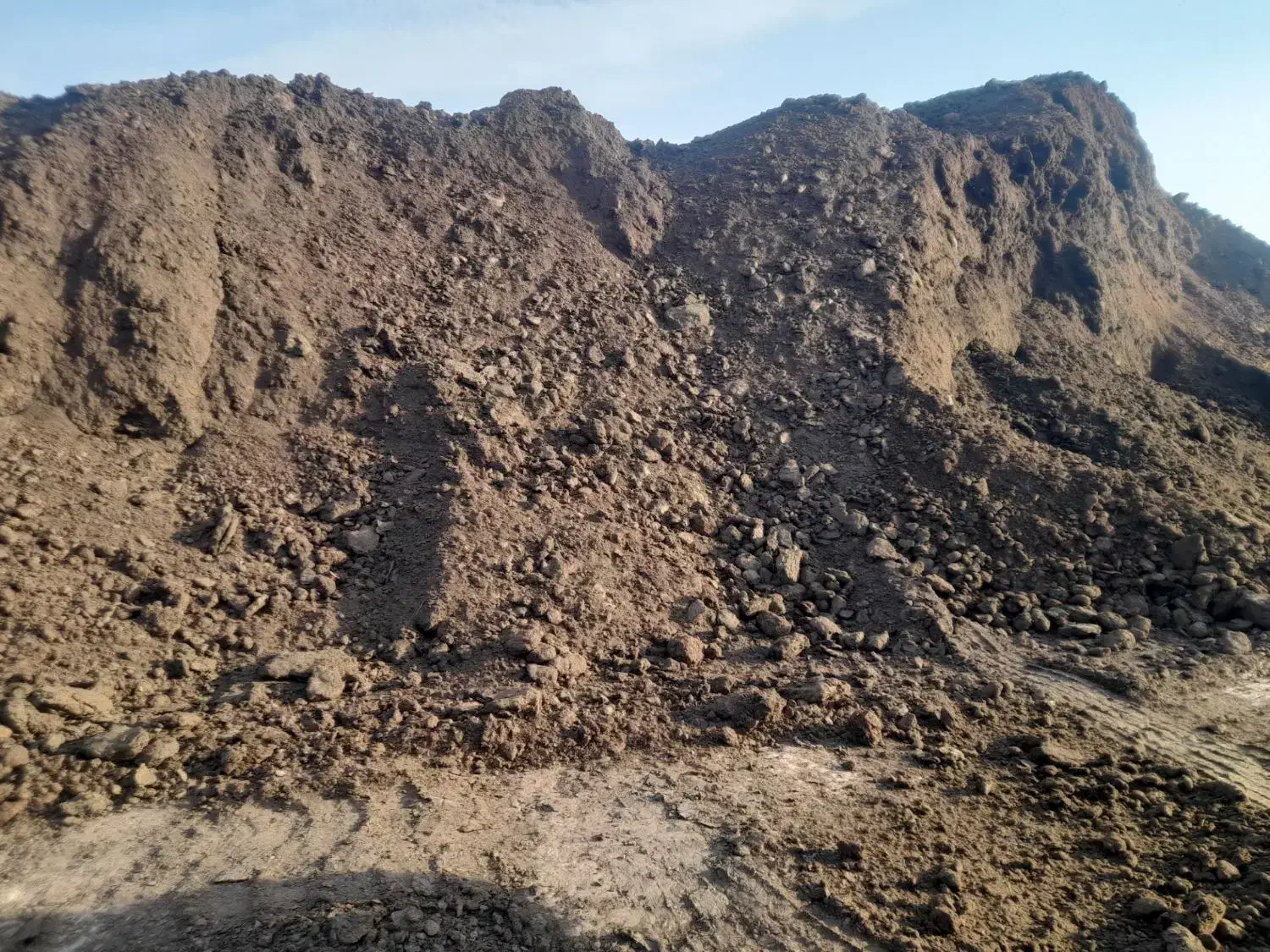 کود گاوی صنعتی|خدمات باغبانی و درختکاری|قزوین, |دیوار