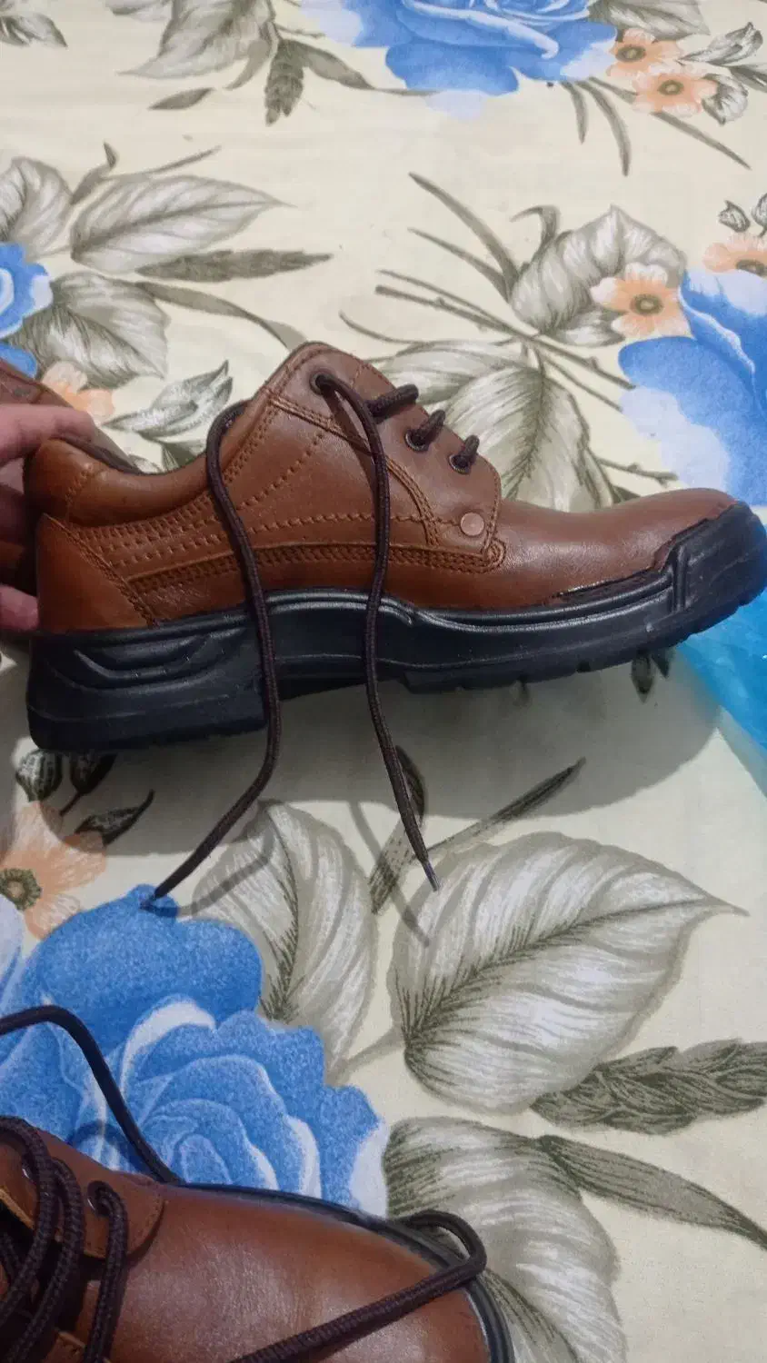 کفش ایمنی بهشتیان|کیف، کفش، کمربند|چالوس, |دیوار