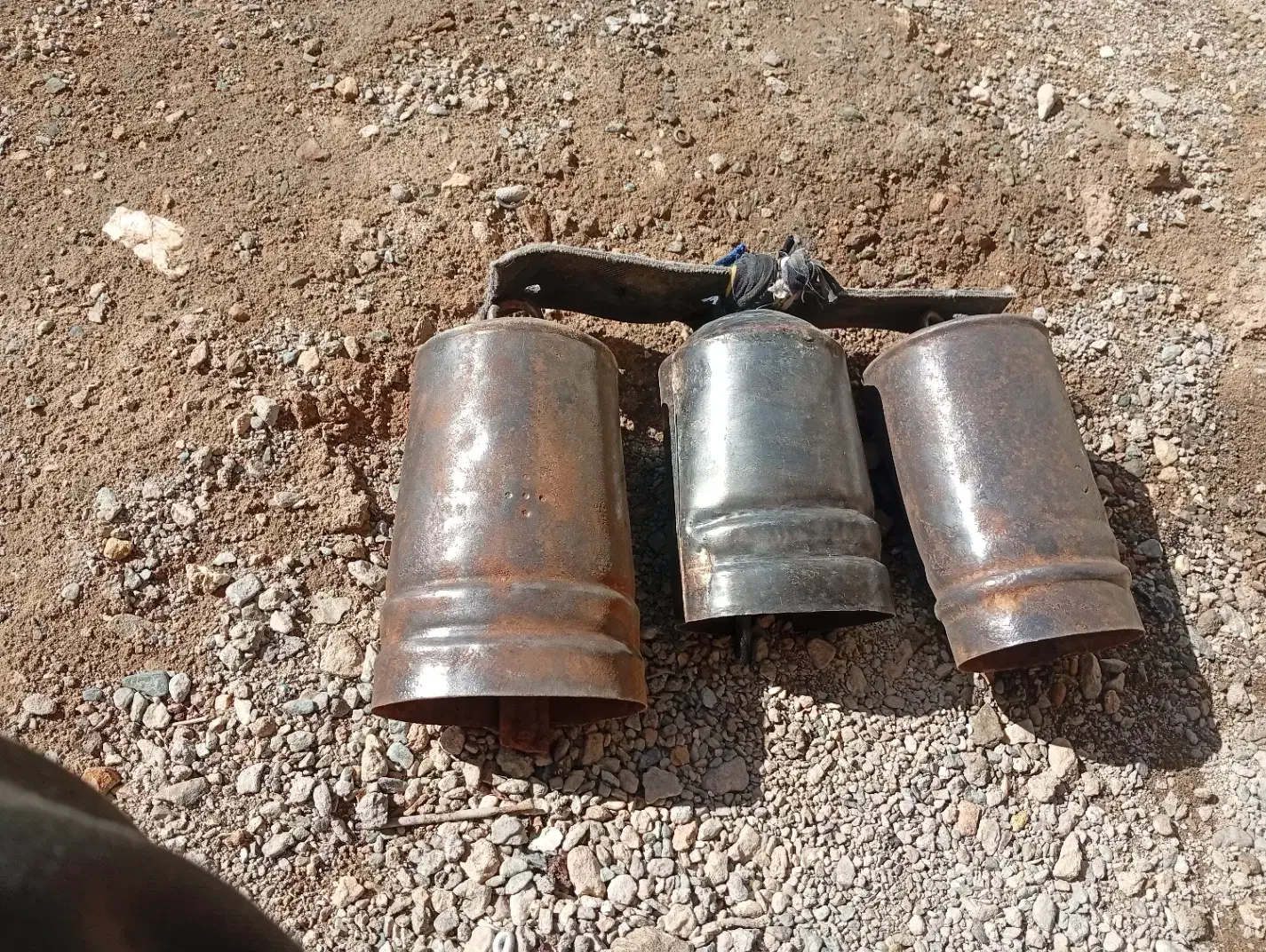 زنگوله فروشی|لوازم جانبی حیوانات|ایثار, |دیوار