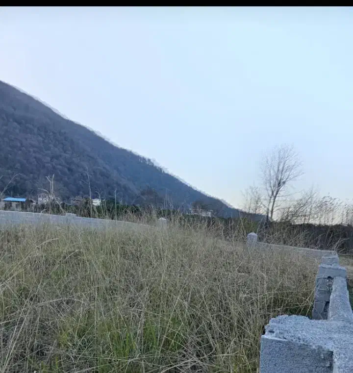 زمین ۲۰۰ متر فروش و تهاتر محدوده نمک آبرود|فروش زمین و ملک کلنگی|هچیرود, |دیوار