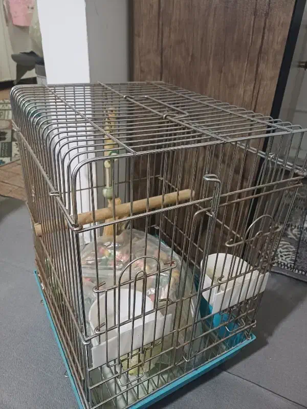 قفس پرنده خوشگل جمع جور با وسایل داخل|لوازم جانبی حیوانات|کرج, حیدرآباد|دیوار