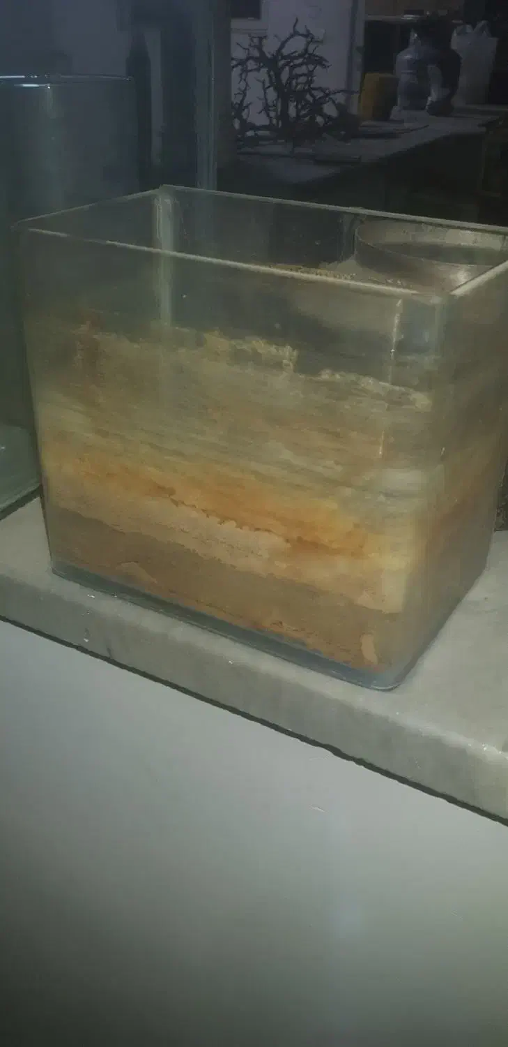 اکواریوم|ماهی|چهاردانگه (تهران), |دیوار