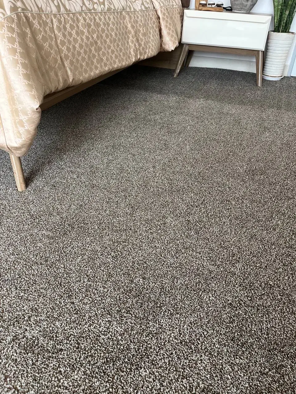 موکت پالاز|موکت|دوگنبدان, |دیوار