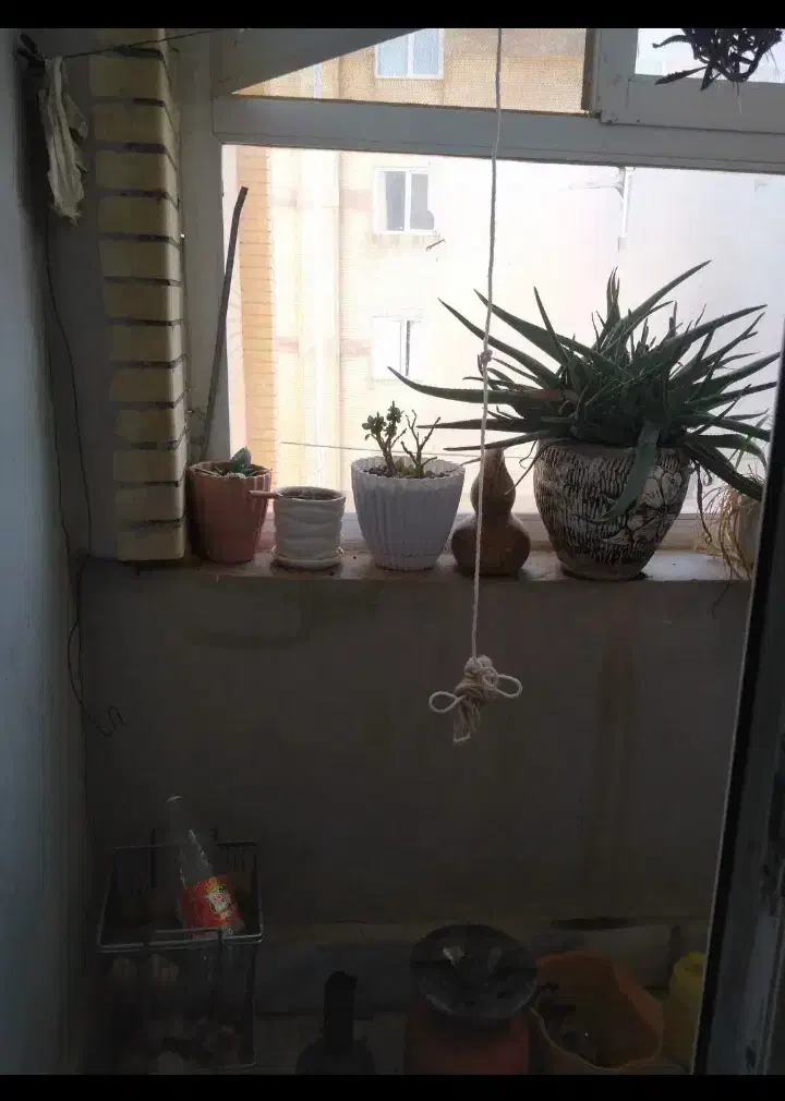 واحد 85متری|اجارهٔ آپارتمان|سبزوار, قصبه شرقی|دیوار