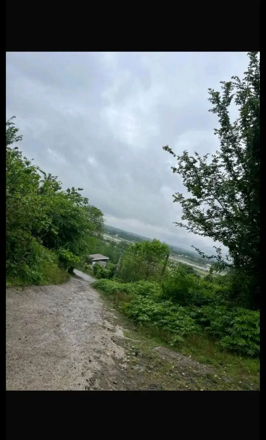 زمین مسکونی/با پروانه ساخت/ویو ابدی|فروش زمین و ملک کلنگی|لاهیجان, آهندان|دیوار