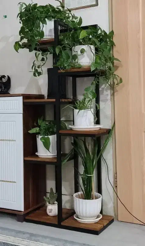 تولیدی استند گل و گلدان مدرن چند طبقه فلزی و چوبی|گل و گیاه طبیعی|اصفهان, طاحونه|دیوار