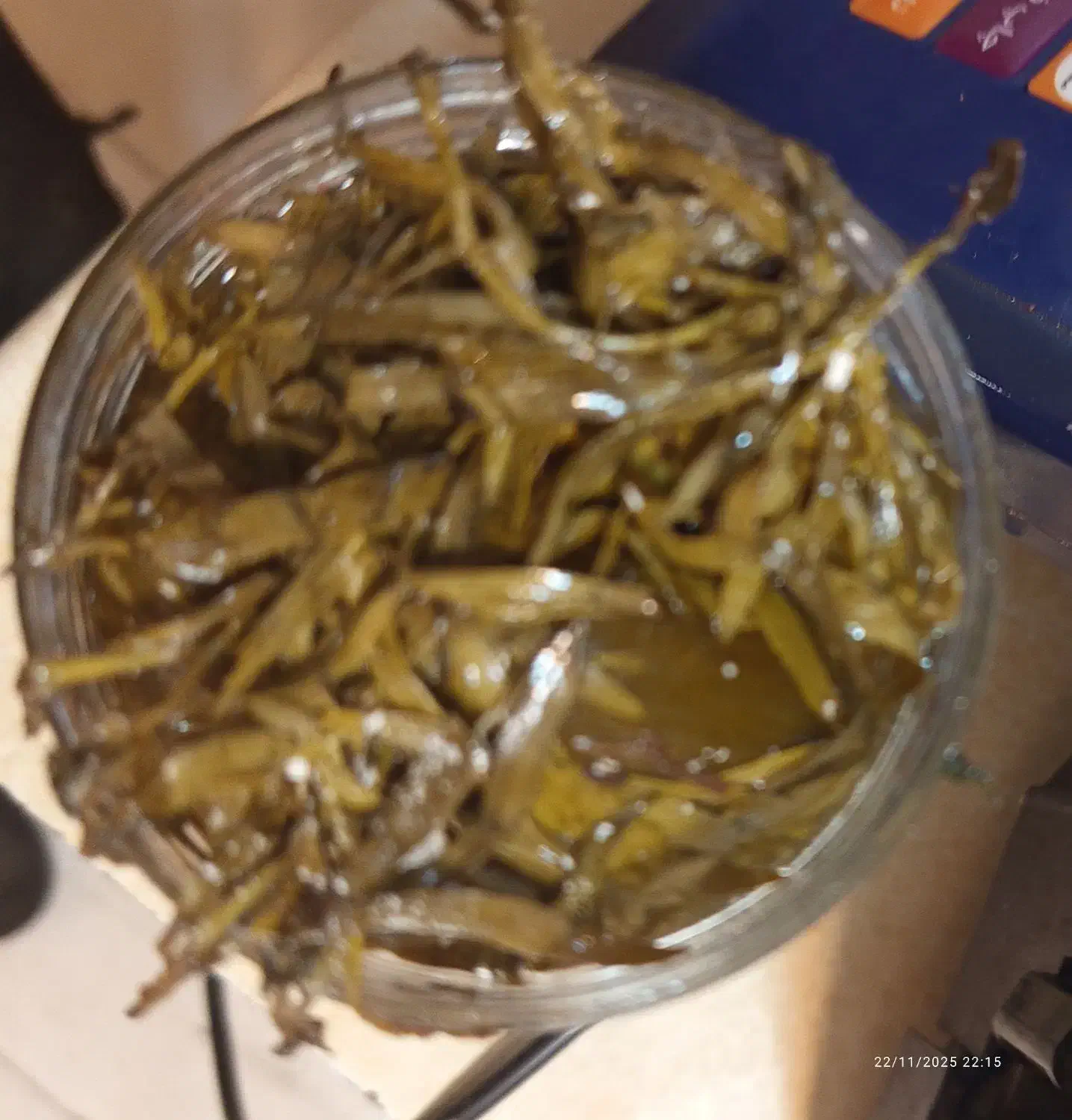 خیارشور درجه یک خیار نیشابور فروش فوری تا6آذر|خوردنی و آشامیدنی|نیشابور, شریعتی|دیوار