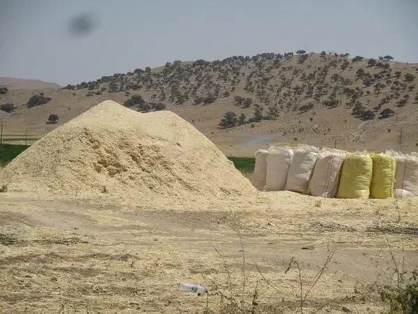 کاه دیمه کیلو ۱۹ تومن|لوازم جانبی حیوانات|شیروان (خراسان), |دیوار