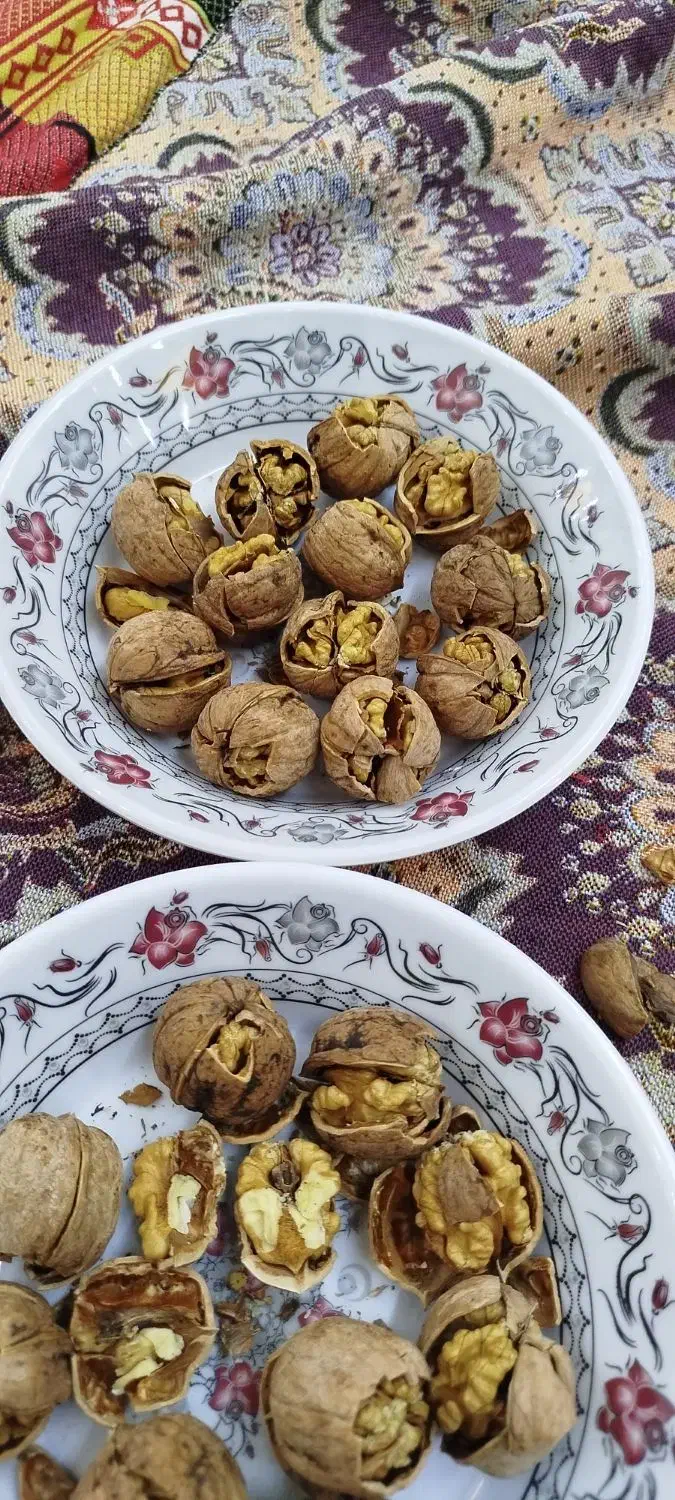 گردوتازه. رب گوجه ودوشاب|خوردنی و آشامیدنی|ارومیه, |دیوار