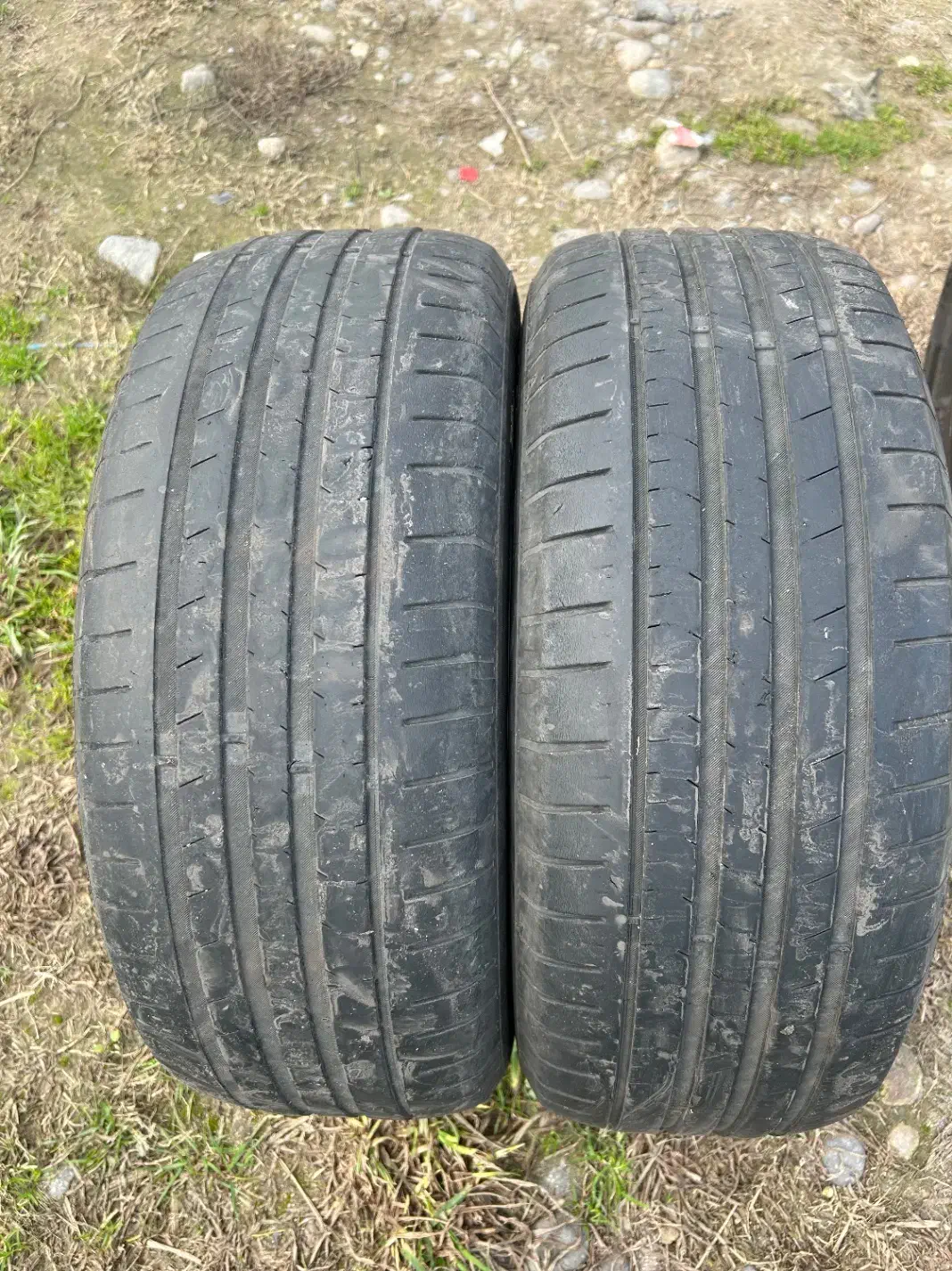 لاستیک|قطعات یدکی و لوازم جانبی|رشت, رشتیان|دیوار