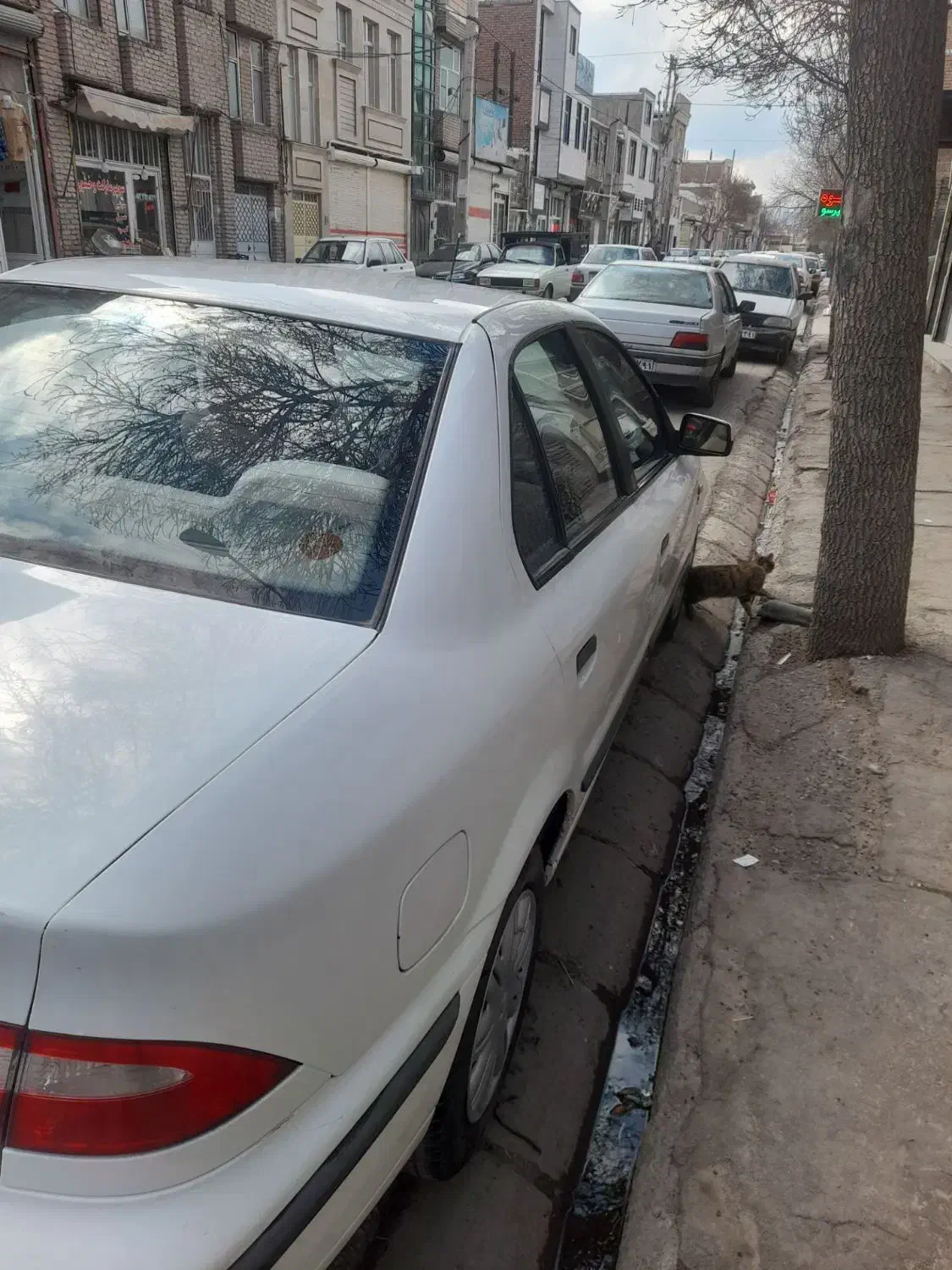 فروش خودرو سمند ای اف سون مدل ۹۴|خودرو سواری و وانت|اردبیل, |دیوار