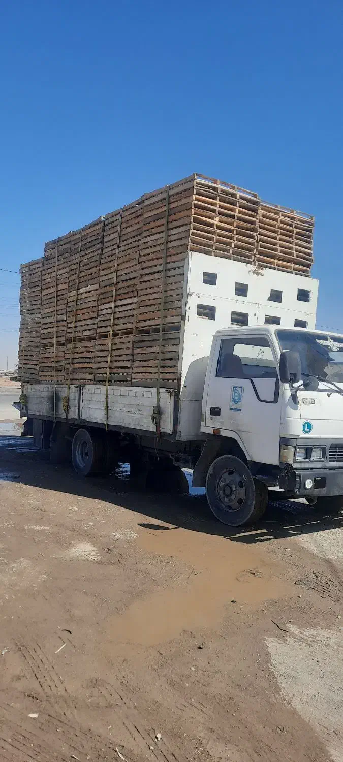 فروش عمده پالت چوبی نو و دست دوم|عمدهفروشی|اصفهان, گورت|دیوار