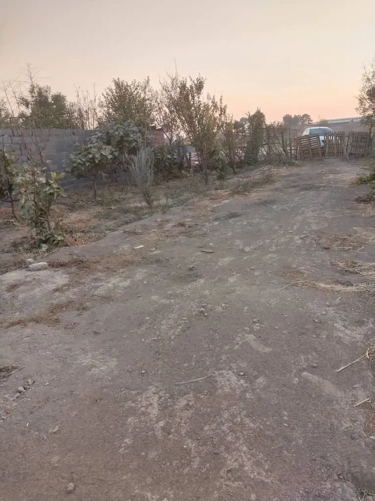 زمین کشاورزی|فروش دفتر صنعتی، کشاورزی، تجاری|ری, فیروزآباد|دیوار