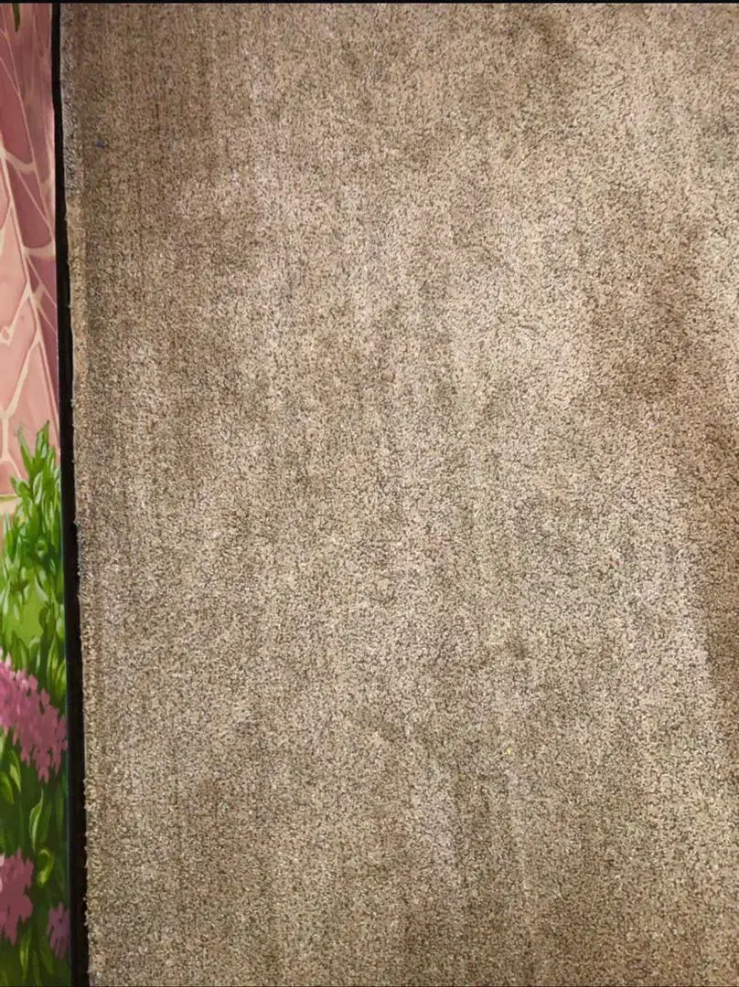 پالاز موکت سالم و در حد نو|موکت|قم, هفت تیر|دیوار