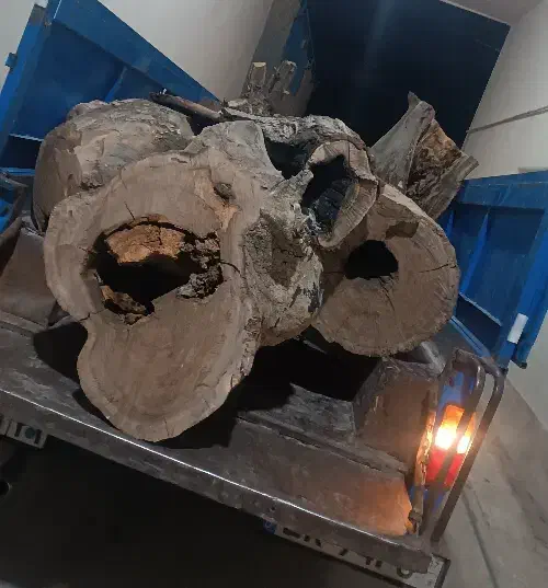 خدمات اره موتوری چوب درختان(بریدن)|گل و گیاه طبیعی|بروجرد, |دیوار