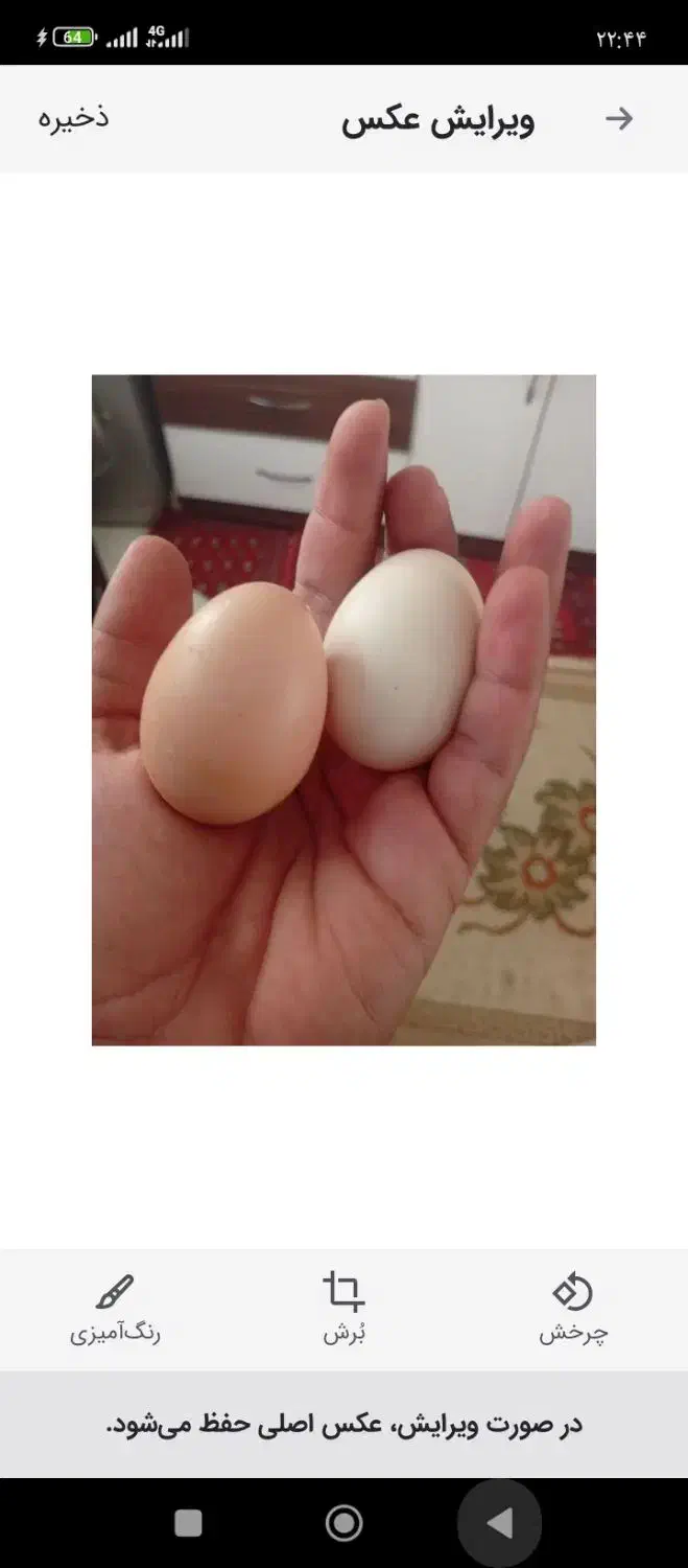 تخم مرغ محلی تازه ارگانیک|خوردنی و آشامیدنی|مشهد, جاهد شهر|دیوار
