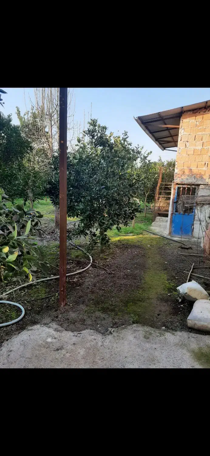 زمین مسکونی باغی|فروش زمین و ملک کلنگی|خوش‌رودپی, |دیوار