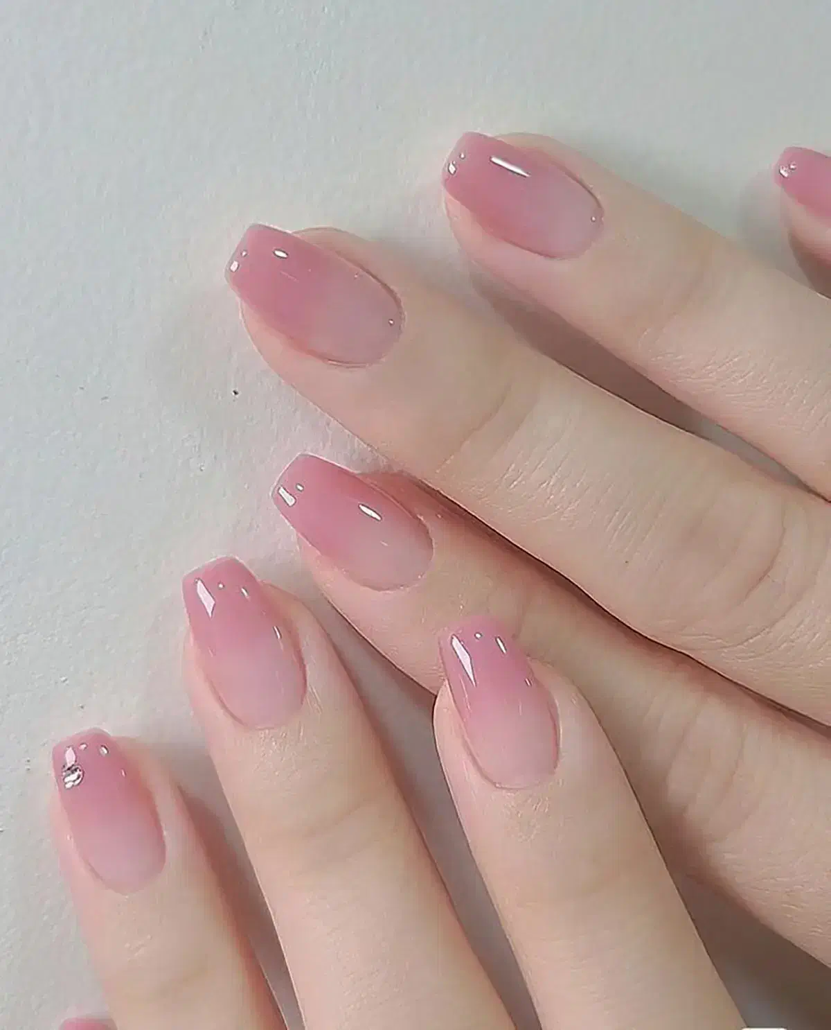 ک ا ش ت|آرایشی، بهداشتی، درمانی|تربت جام, کشتارگاه|دیوار