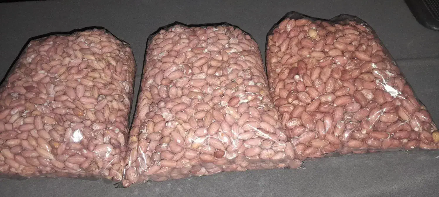 بادام زمینی آستانه اشرفیه|خوردنی و آشامیدنی|محمدیه-قزوین, |دیوار