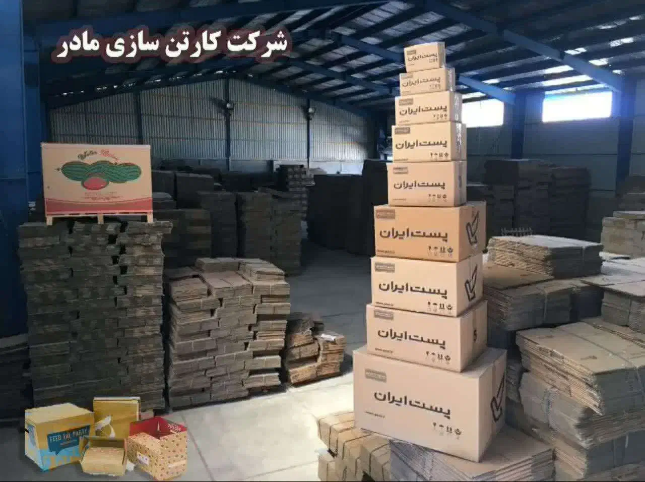 شرکت کارتن سازی مادر|عمدهفروشی|لامرد, |دیوار