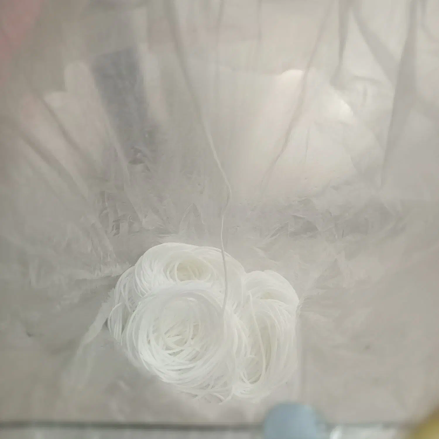 چند همکار خانم پاره وقت|استخدام صنعتی، فنی، مهندسی|ملایر, |دیوار