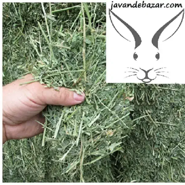 پخش علوفه دام|لوازم جانبی حیوانات|لاهیجان, بازکیاگوراب|دیوار