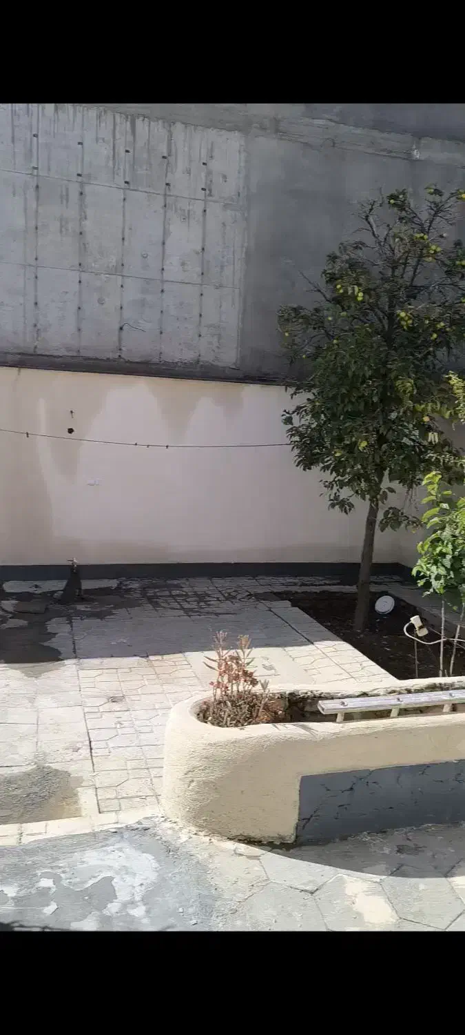 تصویر 3