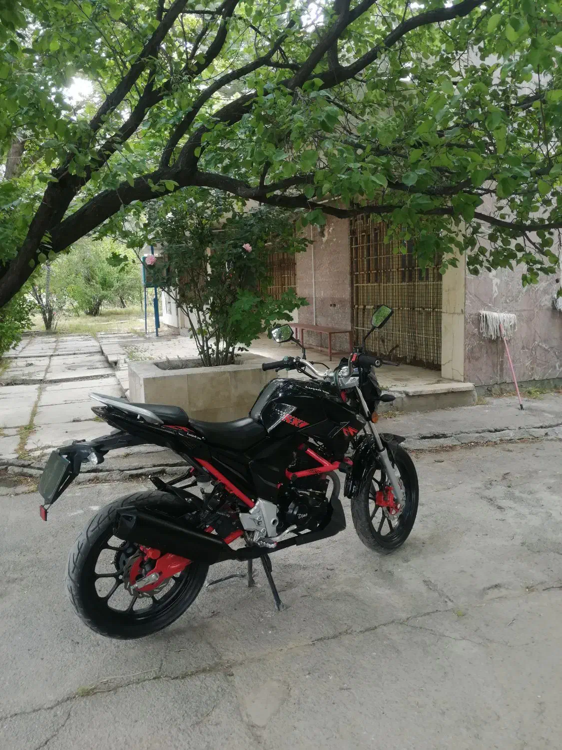 موتور سیکلت اقساط و نقد|موتورسیکلت|کرمانشاه, |دیوار