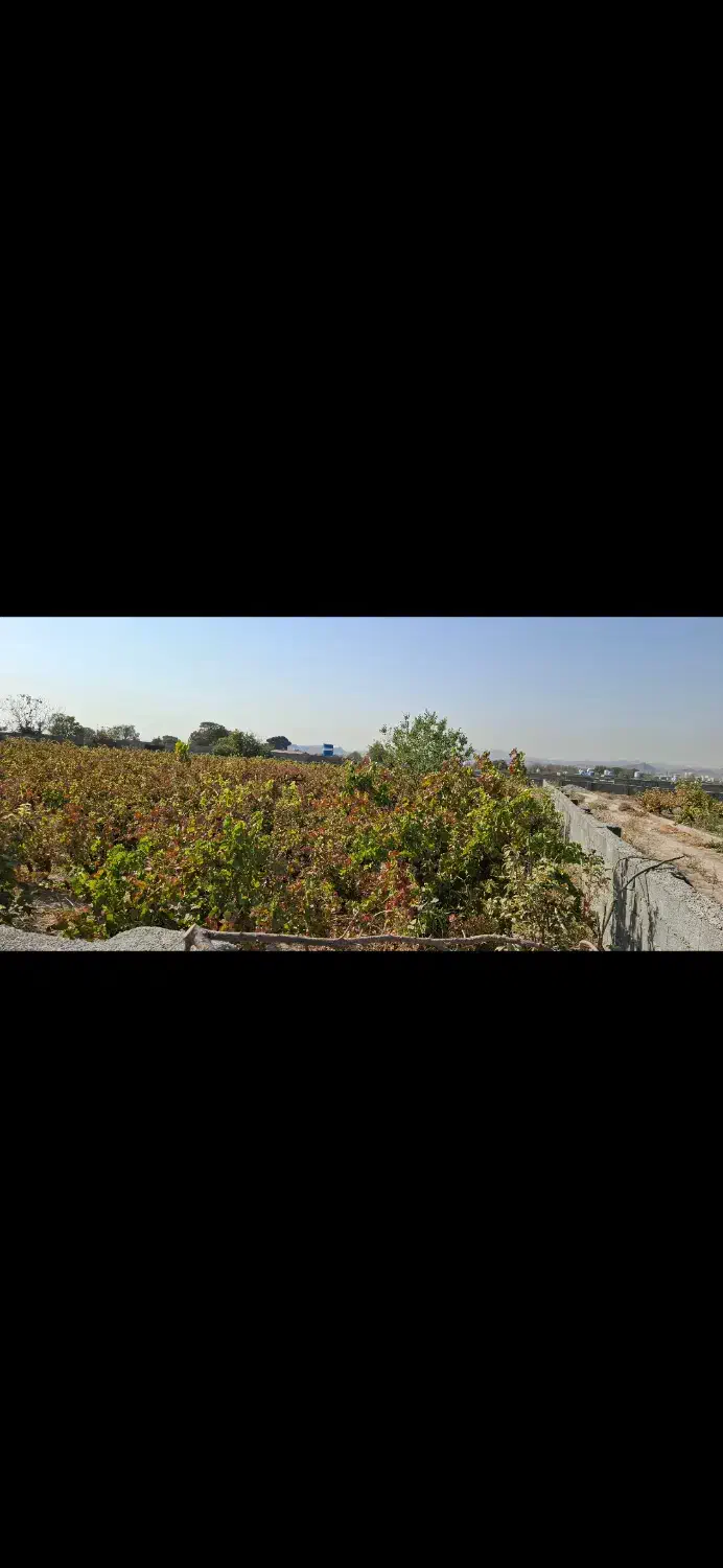 باغ باغچه ۳۰۰ تا ۱۰۰۰ متری|فروش زمین و ملک کلنگی|رباطکریم, پیغمبر|دیوار