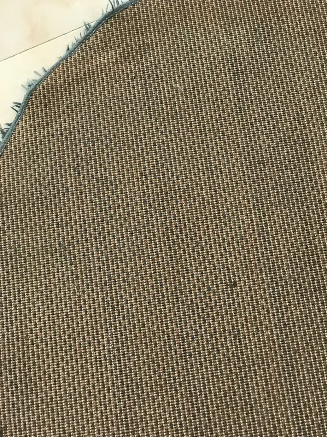 فرش گرد ( مدل شگی ) سبز رنگ|فرش|پردیس, فاز ۸|دیوار