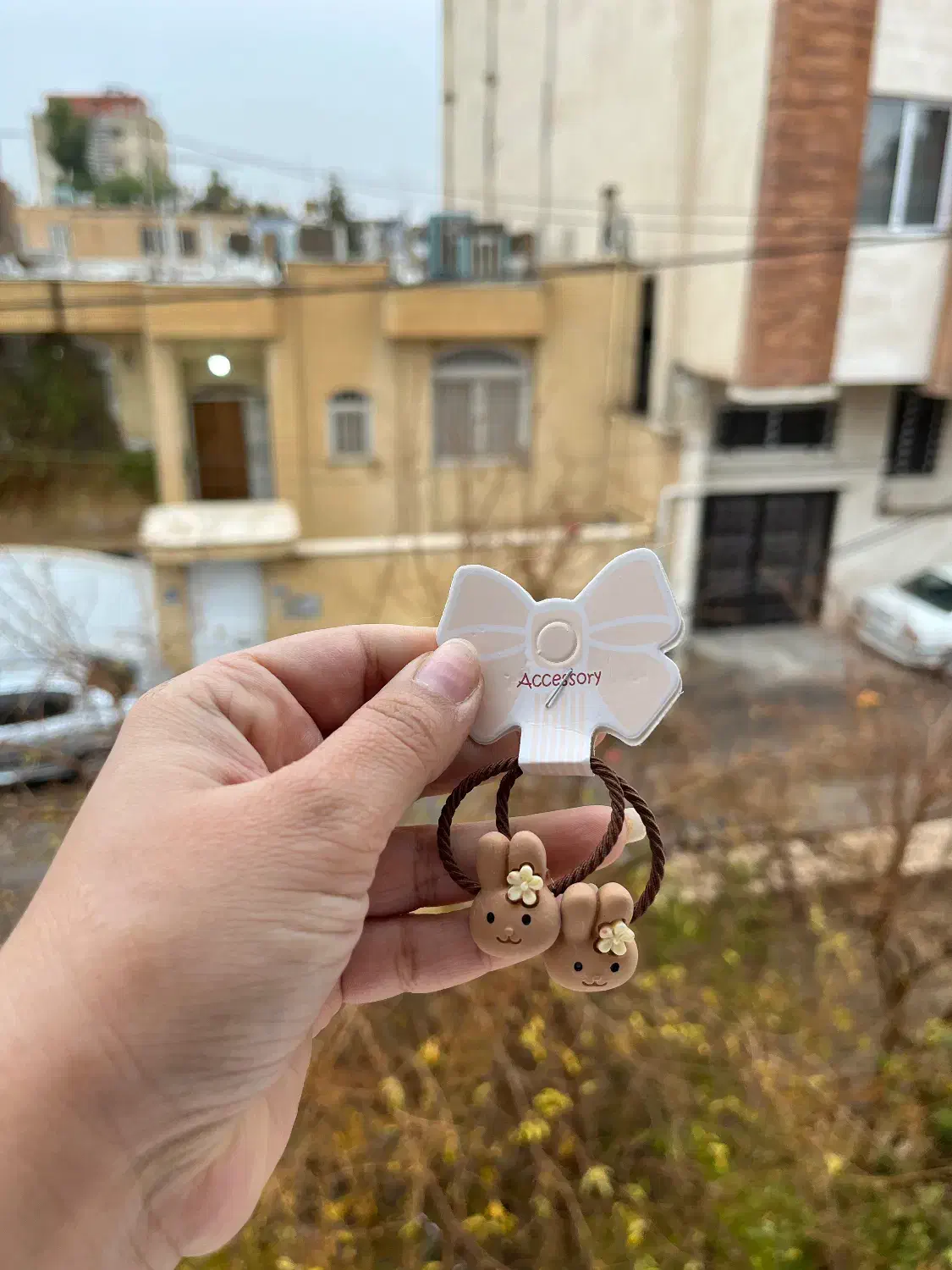 کش مو|زیورآلات و اکسسوری|کرمان, |دیوار