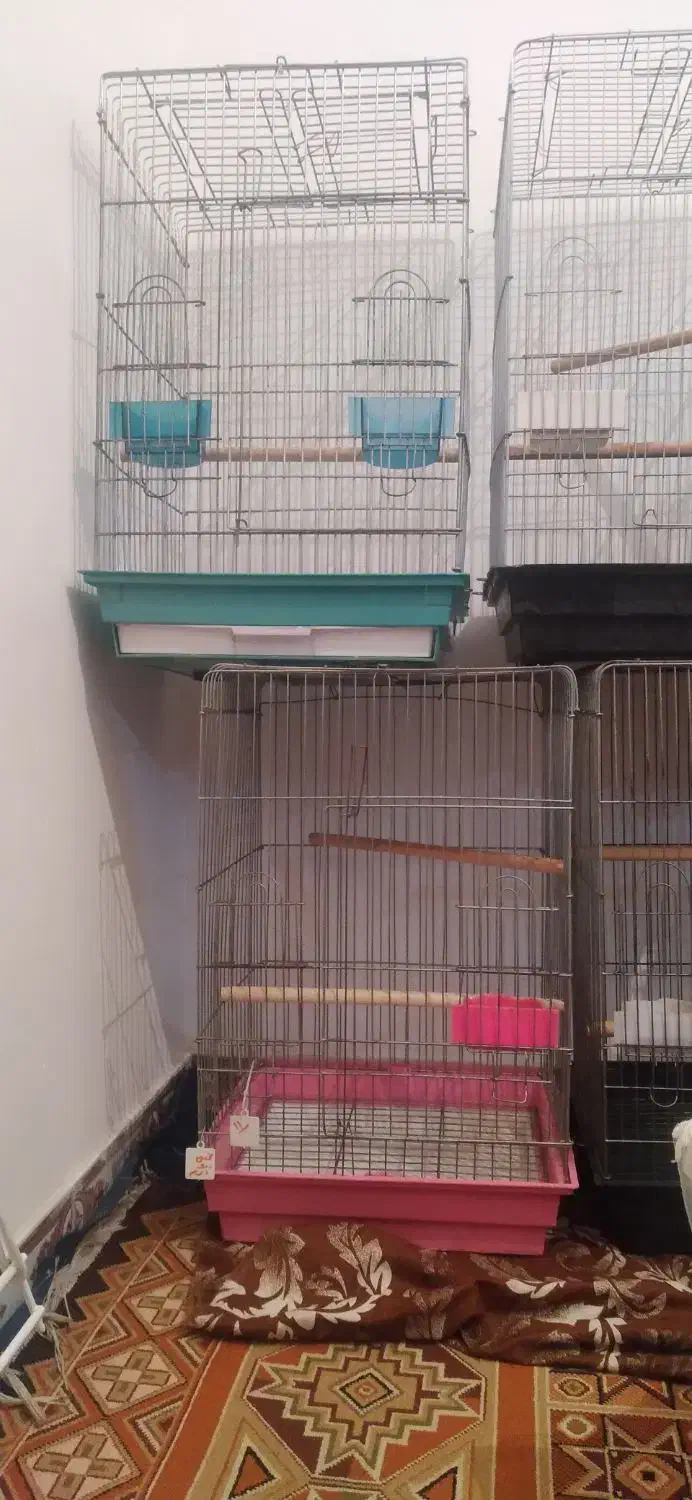 قفس ۱۰۳۳|لوازم جانبی حیوانات|مشکین‌دشت, |دیوار