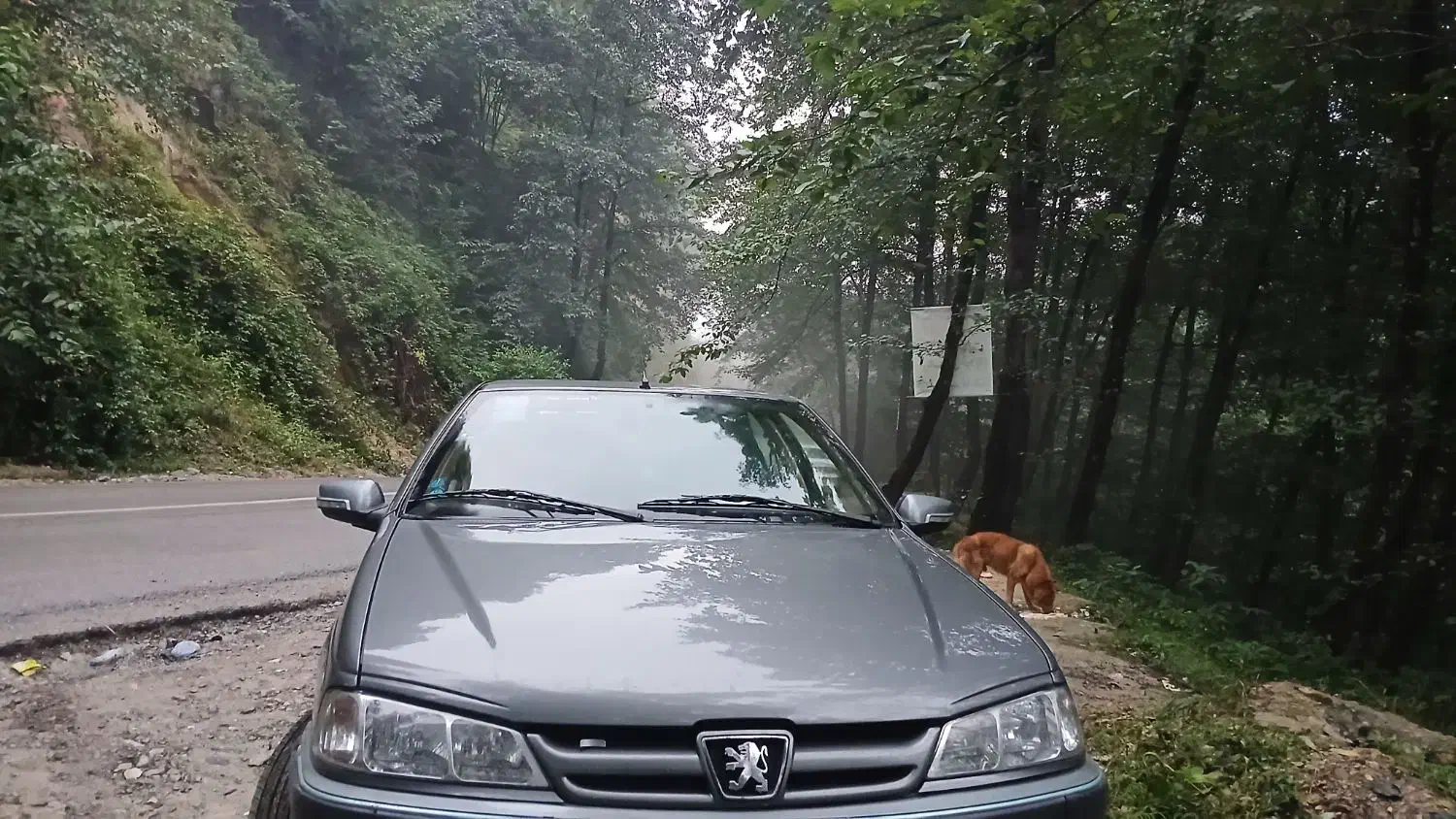 فروشی پارس۱۳۹۸|خودرو سواری و وانت|بالا ولایت, |دیوار