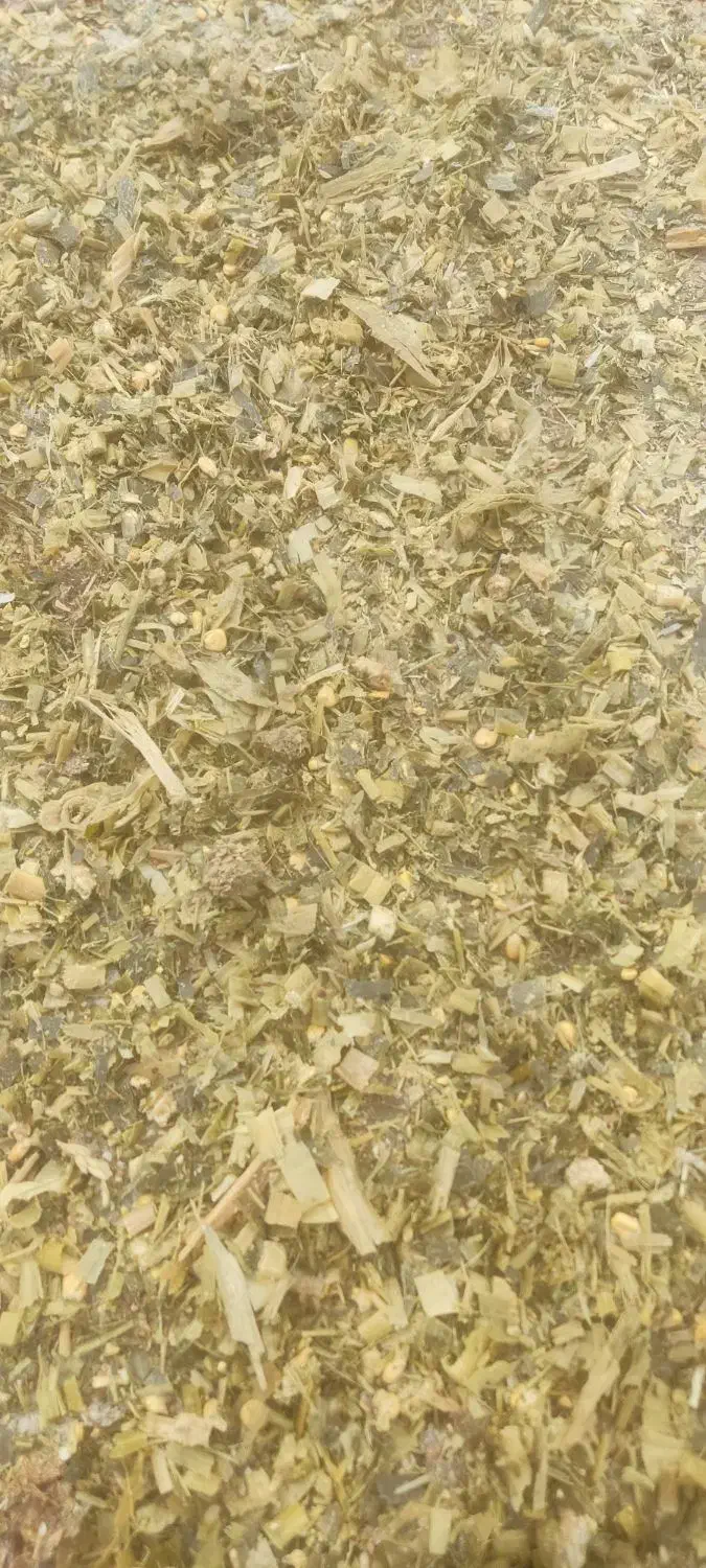 ذرت علوفه پر دان درجه یک|حیوانات مزرعه|چهاربرج, |دیوار