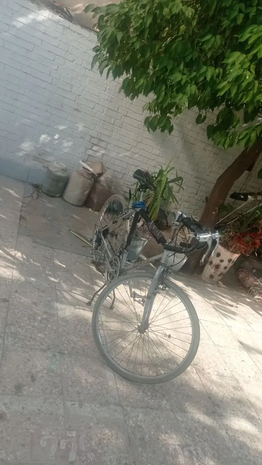 دوچرخه کورسی و کوهستانی|دوچرخه، اسکیت، اسکوتر|ایذه, |دیوار