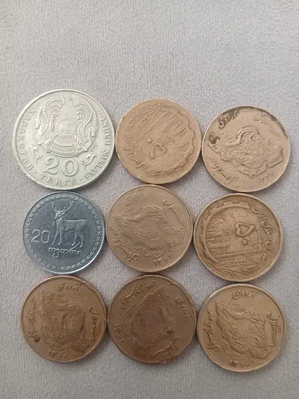 سکه کلکسیون|کلکسیون اشیاء عتیقه|گلبهار, شهر جدید گلبهار|دیوار