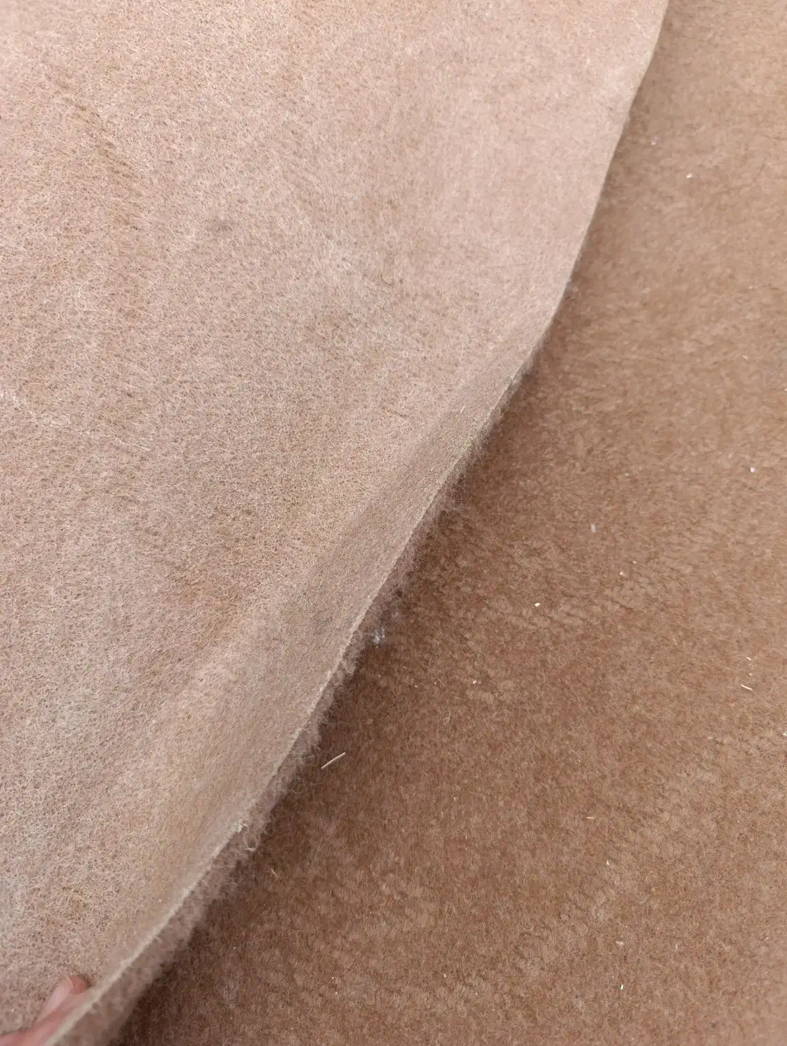 موکت|موکت|اصفهان, فجر|دیوار