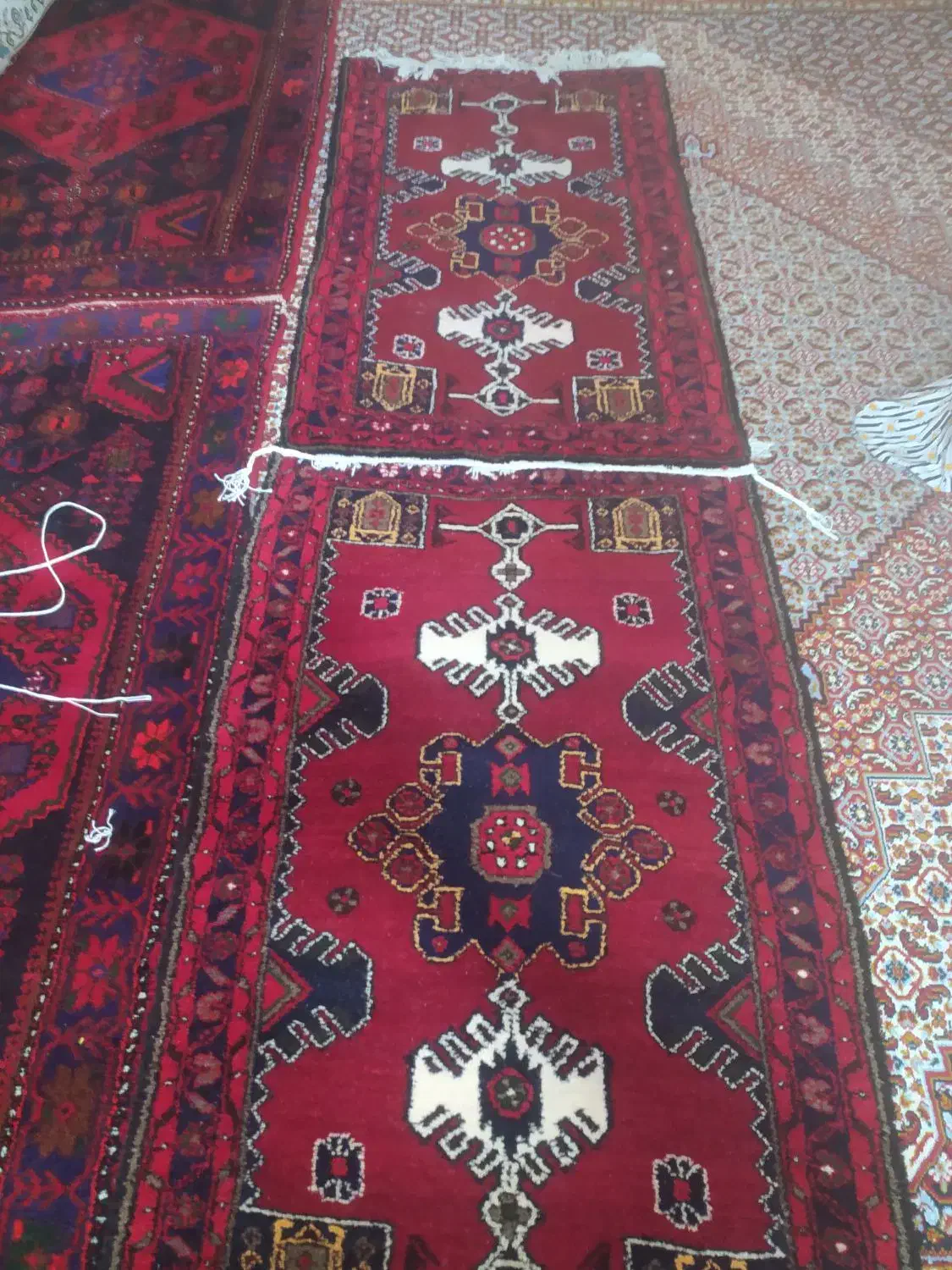 فرش دستباف|فرش|ابهر, |دیوار